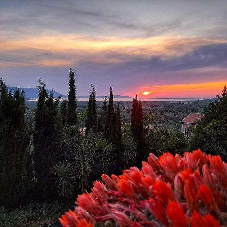Casa Vacanza Gargano Carpino Eksteriør billede