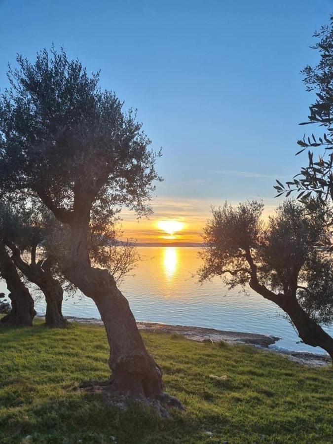Casa Vacanza Gargano Carpino Eksteriør billede