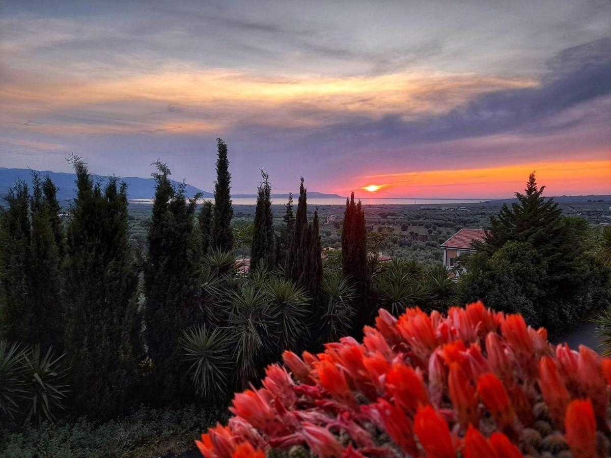 Casa Vacanza Gargano Carpino Eksteriør billede